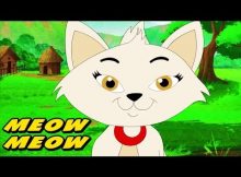 Billi Boli Meow Meow