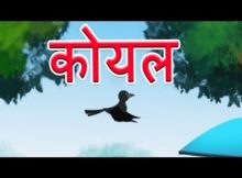 koyal rani koyal rani poem